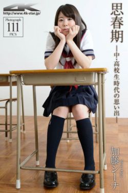 大明王朝